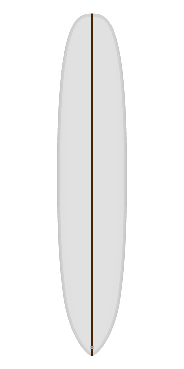 Pintail_NL94